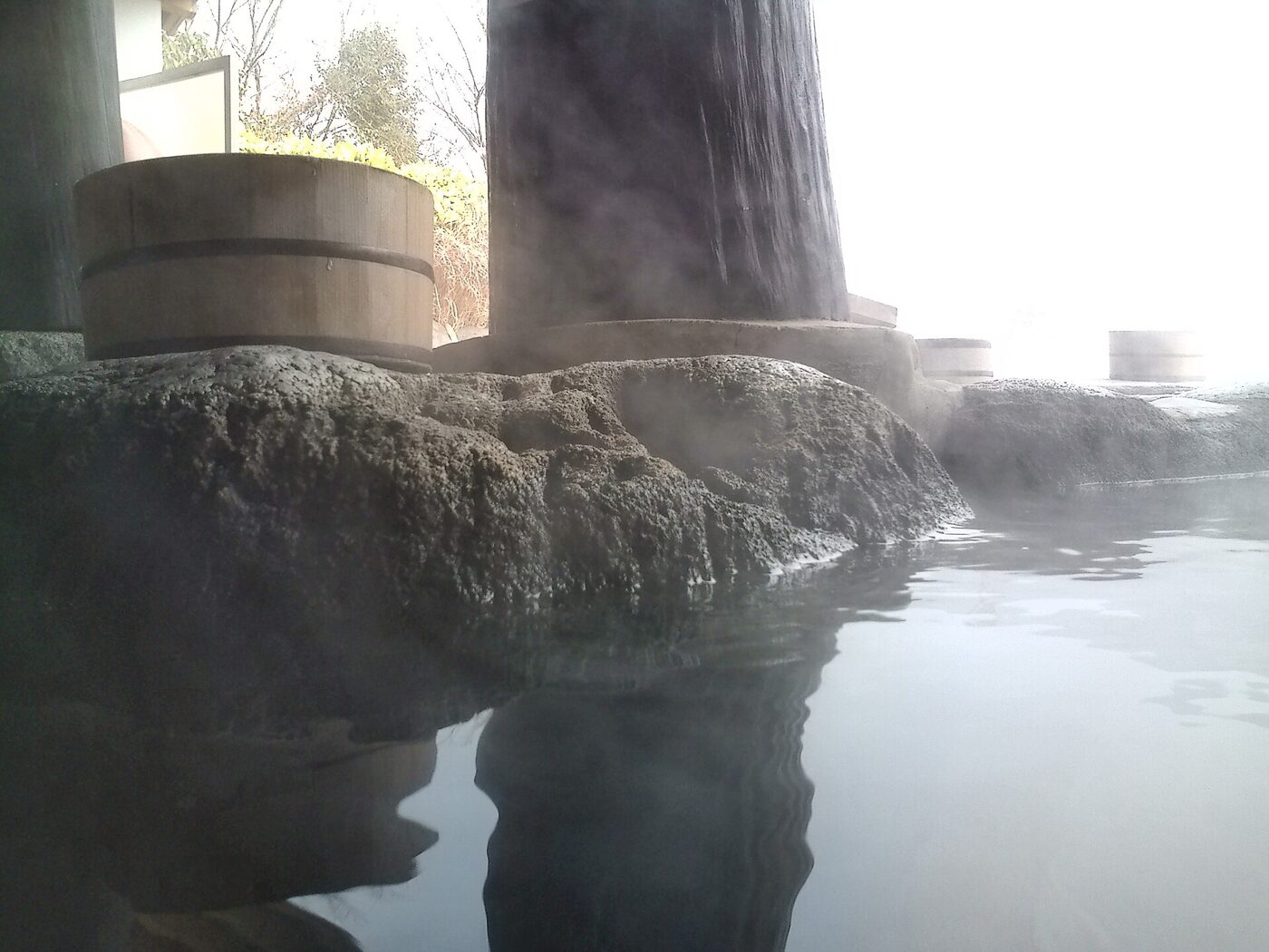 Is a Snow Monkey Park Onsen Tour from Tokyo Truly Worth the Journey?